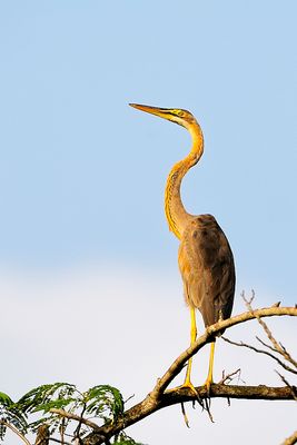_DSC5187.JPG