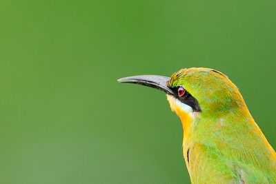 _DSC7770.JPG