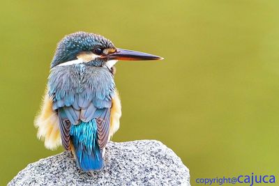 DSC_3182.jpg