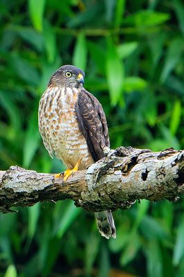 DSC_7283_DxO.jpg