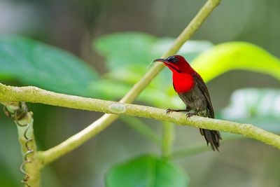 DSC_2666_DxO.jpg