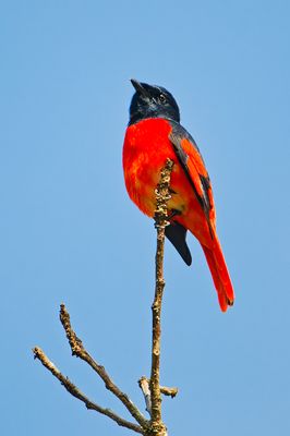 DSC_2939_DxO.jpg