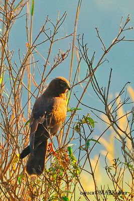 DSC_1788_DxO.jpg