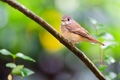 DSC_6875_DxO.jpg