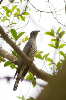 DSC_7914_DxO1.jpg