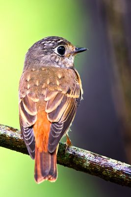 DSC_6579_DxO.jpg
