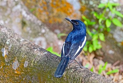 DSC_8537_DxO11.jpg