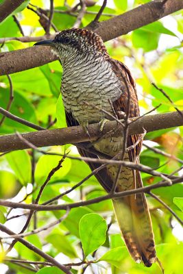 DSC_9971_DxO.jpg
