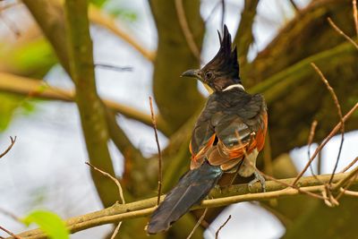 DSC_9455_DxO.jpg