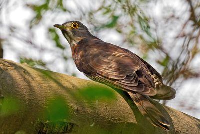 DSC_9098_DxO.jpg