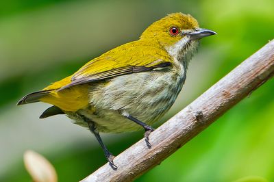 DSC_9166_DxO.jpg