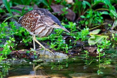 DSC_4071_DxO.jpg
