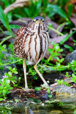 DSC_4356_DxO.jpg