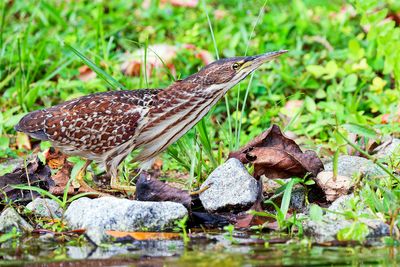 DSC_5459_DxO.jpg