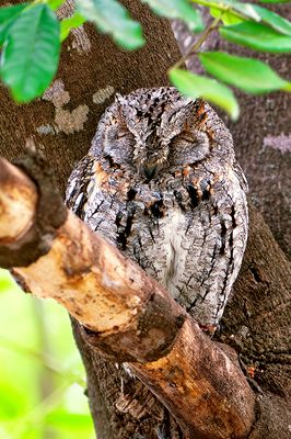 DSC_6812_DxO.jpg