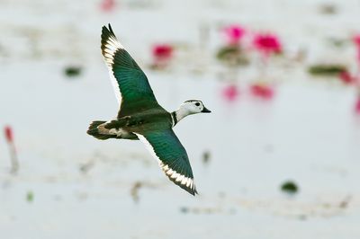 DSC_5608_DxO.jpg