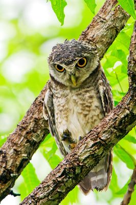 DSC_2571_DxO.jpg