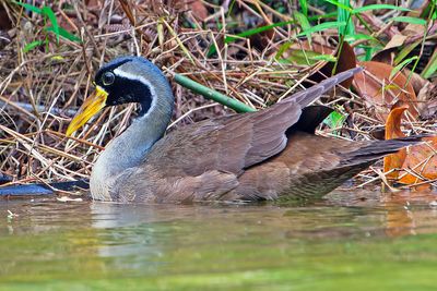 DSC_5741_DxO.jpg