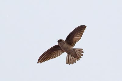 DSC_8967_DxO.jpg