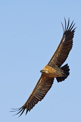 DSC_7465_DxO.jpg