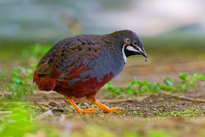 DSC_2892_DxO.jpg