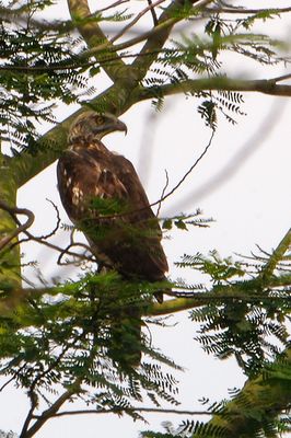 DSC_9068.jpg