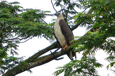 DSC_9684.jpg
