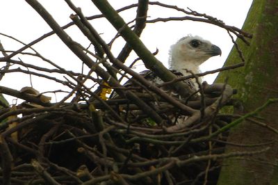 DSC_9768.jpg