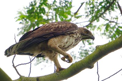 DSC_0235.jpg