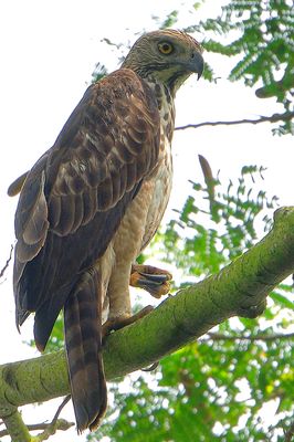 DSC_9997.jpg
