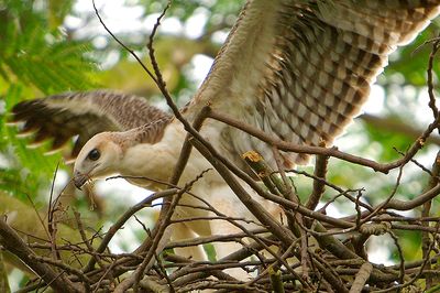 DSC_0597c.jpg