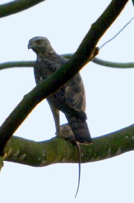 DSC_0889.jpg