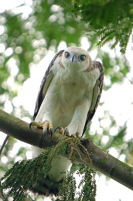 DSC_1520.jpg