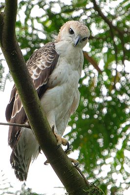 DSC_1792.jpg