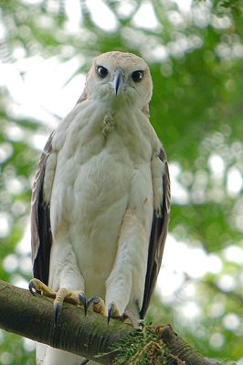 DSC_1570.jpg