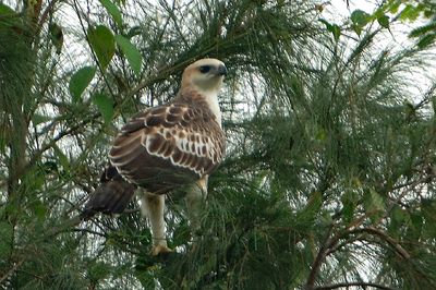 DSC_2246.jpg