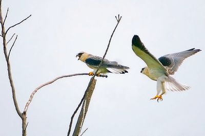 DSC_3646j.jpg