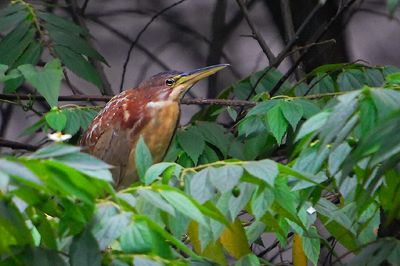 DSC_2273.jpg