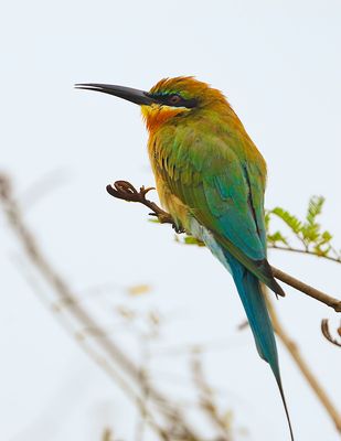DSC_2930btbe.jpg