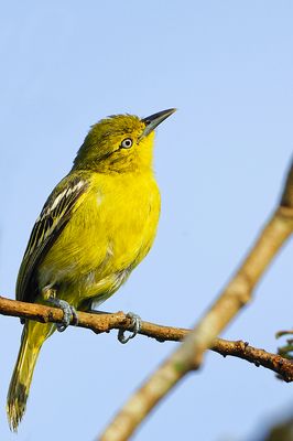 DSC_2976.jpg