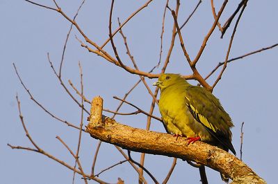 Dsc_3276.JPG