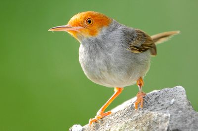 DSC_3311.jpg