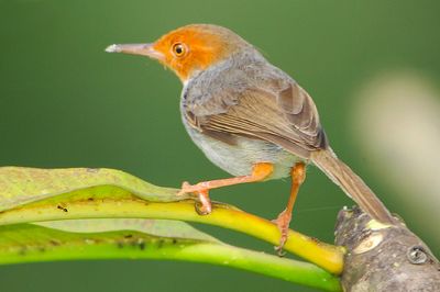 DSC_3326.jpg