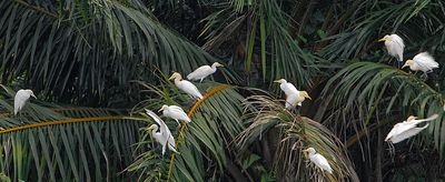 DSC_3407e.jpg