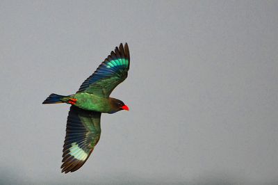DSC_3736.jpg