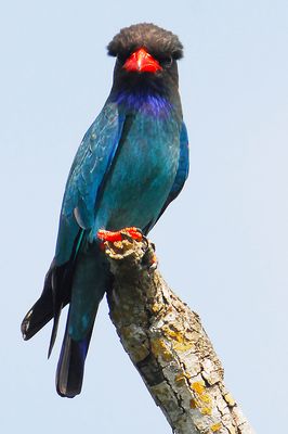 DSC_3834.jpg