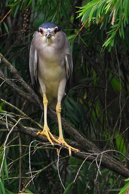 DSC_4095.jpg