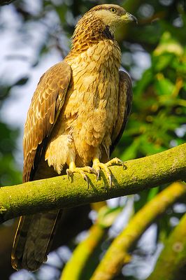 DSC_4580o.jpg