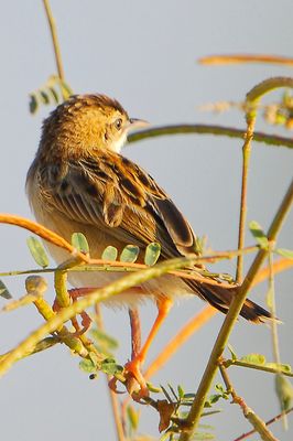 DSC_5110w.jpg