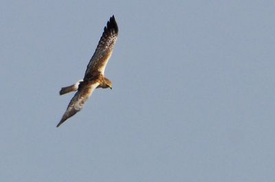 DSC_5172.jpg
